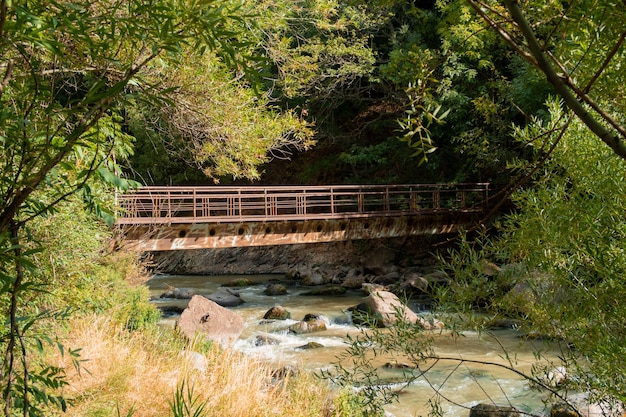 Foto vecchia costruzione di ponti in metallo abbandonati tra gli alberi boschetto illuminato dal sole attraversamento del torrente foresta fotografia d'archivio