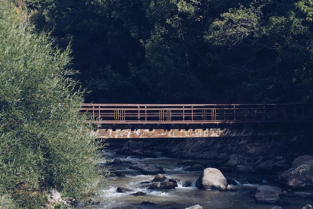 Foto vecchia costruzione di ponti in metallo abbandonati tra gli alberi boschetto illuminato dal sole attraversamento del torrente foresta fotografia d'archivio