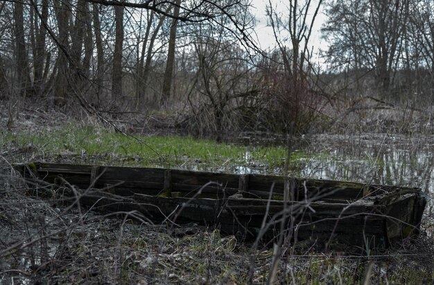 Old abandoned boat in the swamp