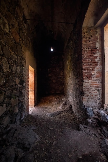 Old abandoned building nature grows back brick