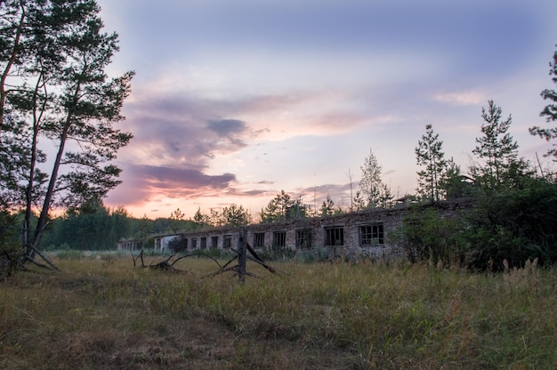 写真 古い放棄された建物 森の中の古い牛舎 古いレンガ造りの建物 ウクライナ立ち入り禁止区域