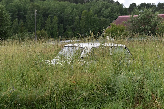 Old abandoned car in the grass in forest rural peaceful\
landscape stolen and hidden car