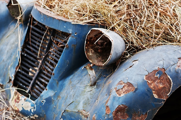 Vecchia automobile abbandonata con fieno sul motore