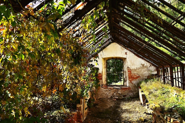 Old abandoned greenhouse building in the castle garden