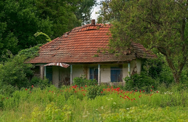 Old abandoned house in the countryside with broken roof and windows