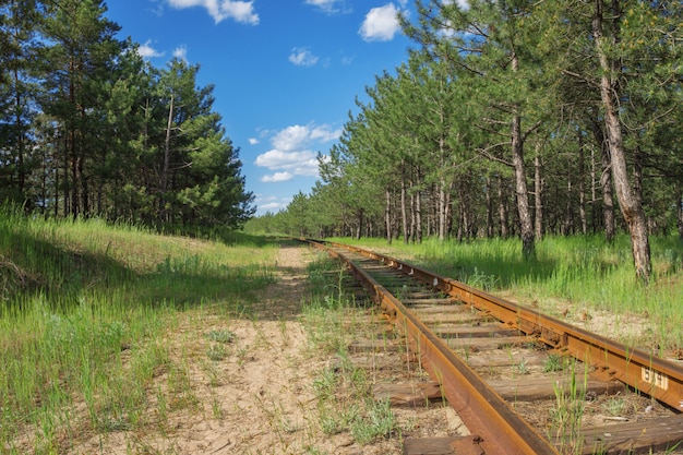 森の中の古いと放棄された狭軌鉄道