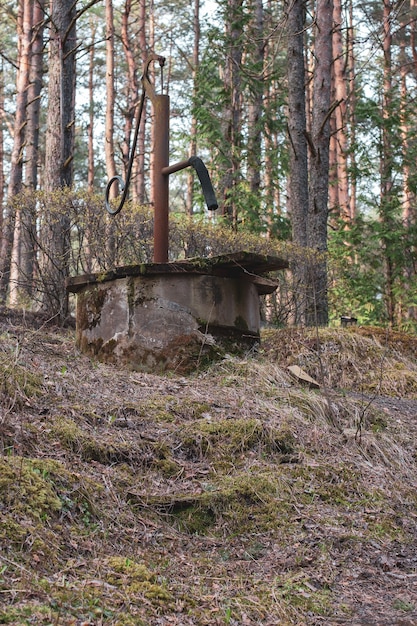 Old abandoned water column in the forest. Retro water pump. Around the trees. Vertical.