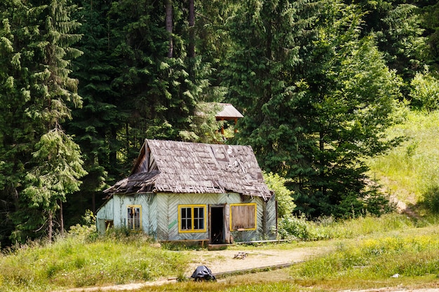 Old abandoned wooden house in the forest