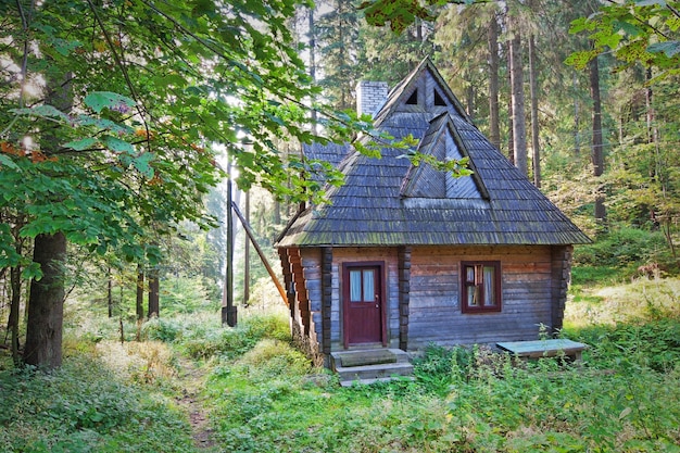 Старый заброшенный деревянный дом леса.