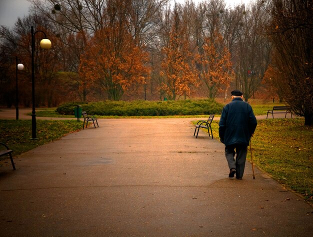 写真 老人が公園を歩いています ⁇