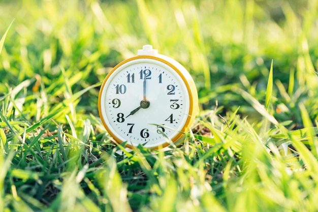 Old alarm clock in green grass at dawn. The concept of morning and start of the working day