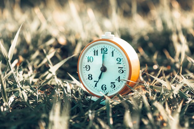 새벽에 푸른 잔디에 있는 오래된 알람 시계. 아침의 개념과 하루의 시작