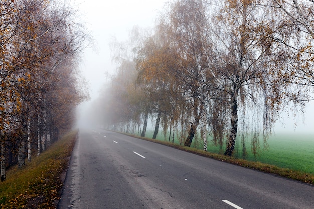 Vecchia strada asfaltata in autunno, durante la nebbia pesante. sulla carreggiata segni bianchi visibili.