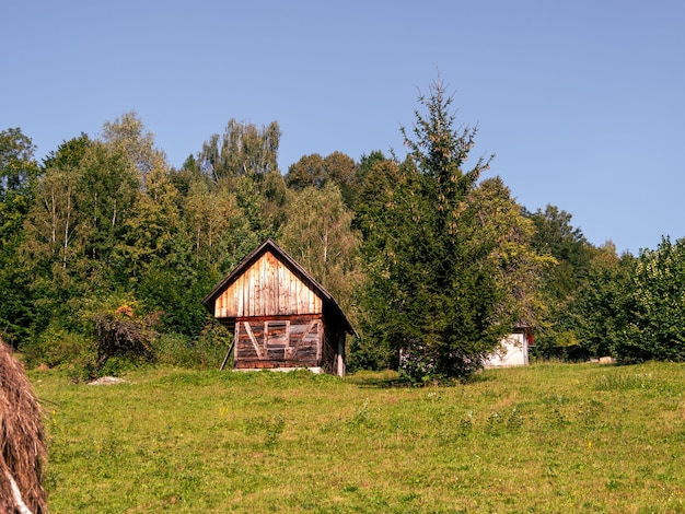 カルパティア山脈の村に干し草置き場のある古い本格的な木造田舎の家、ウクライナ、ヨーロッパ旅行、風光明媚な風景、緑の芝生、リンゴ、トウヒの木、エコツーリズム、ハイキング、森の小道、コテージコア