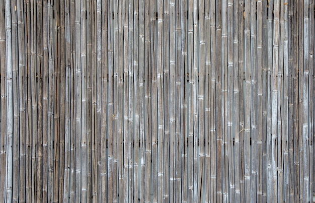 Old bamboo fence texture 