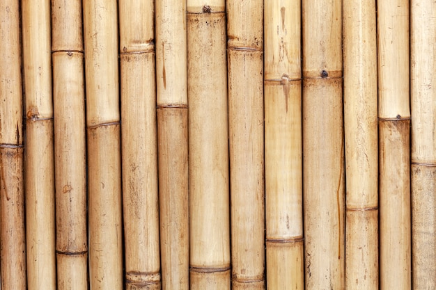 Vecchia parete di bambù del recinto per il fondo e il web design della natura