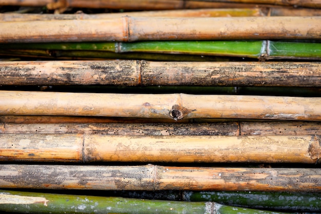 Old bamboo wall background nature wall