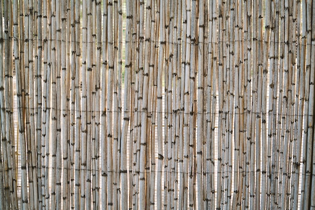 Old bamboo wall background and texture