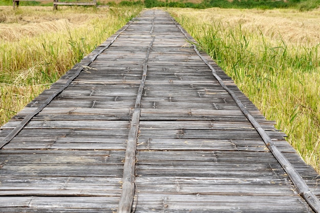 Old bamboo weave bridge on a rice field