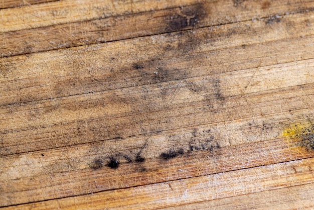 写真 カビや真菌で覆われた古い竹の木の表面 古い腐った竹板