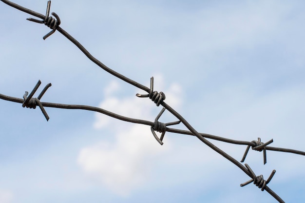 Old barbed wire against the blue sky barbed wire covered with\
rust