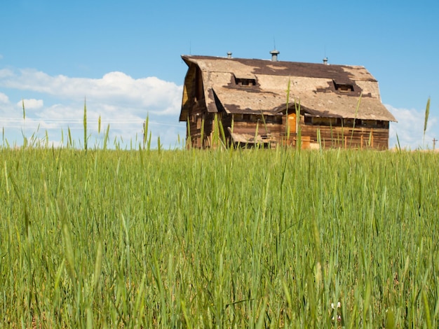 Old barn on abandoned ranch in Colorado.