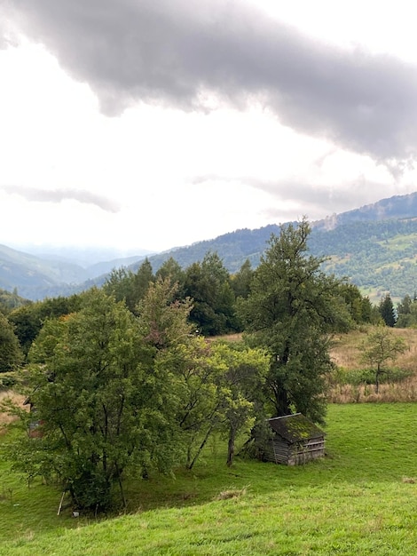 Vecchio fienile per animali in montagna tempo nebbioso nei carpazi