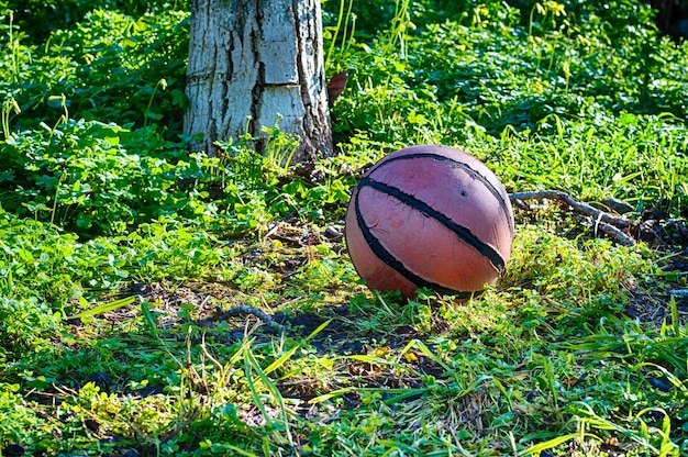 Old basketball in a meadow