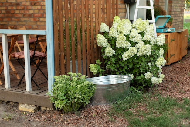 Vecchio bagno e cespugli di ortensie sul cortile di casa in legno, terrazza esterna con decorazione estiva.