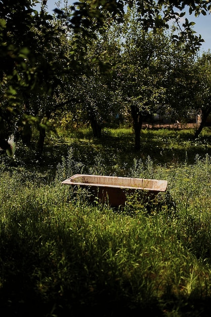 Il vecchio bagno è nel vecchio bagno del giardino