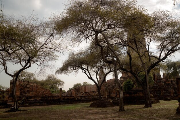 Old Beautiful Thai Temple wat Mahathat Ayutthaya Historical Park Ayutthaya Thailand