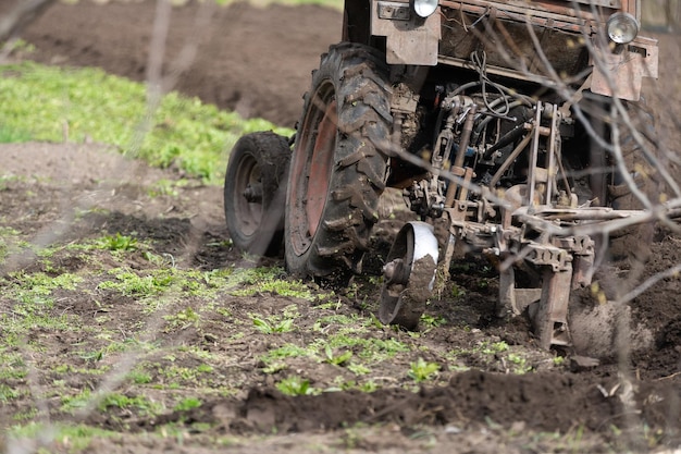 Old Belarus tractor on a ground