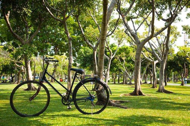 Old bicycle in the park.