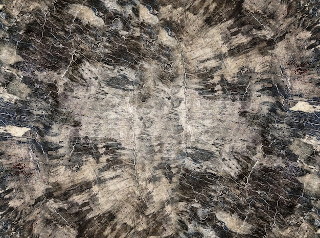 Old black wood texture (for background)