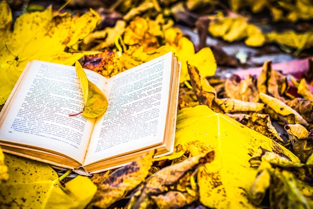 Old book in autumn leaves