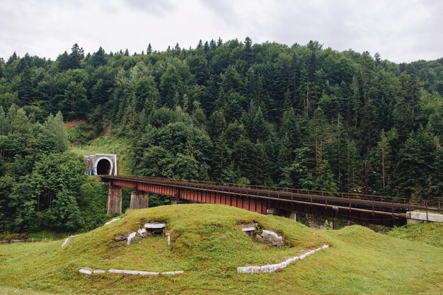 Vecchio tunnel di mattoni in montagna e un treno in avvicinamento