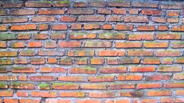 Old Brick Wall Texture, Material