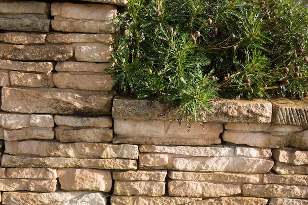 Foto vecchia struttura del muro di mattoni