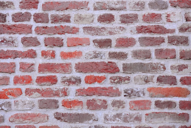 Photo old bricks background