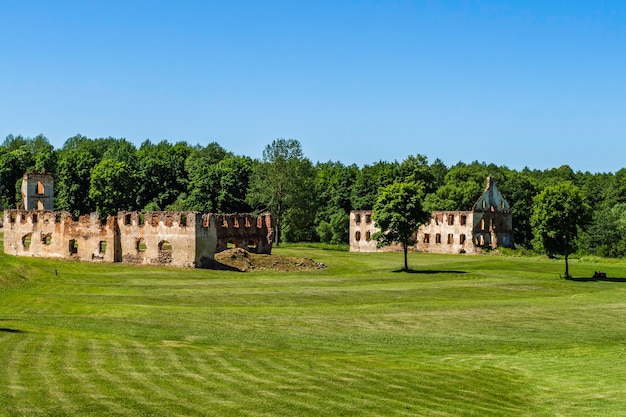 Old Bricks Ruins with Forest in Background, Republic of Paulava, Lithuania.