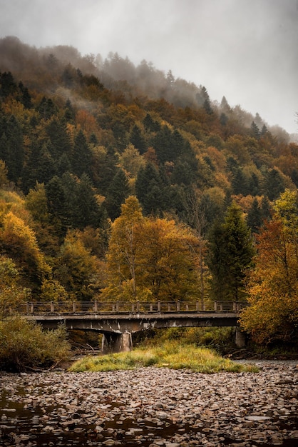 Old Bridge over Mountain River in Bieszczady at Autumn Season Moody Toned Landscape