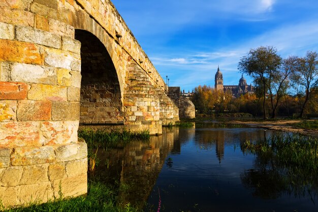 Foto vecchio ponte sul fiume tormes e la cattedrale