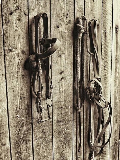 Photo old bridles and rope hanging on wooden wall