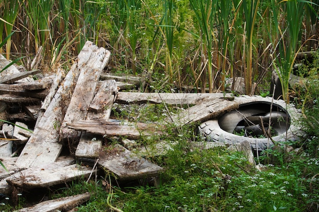 Photo old broken boards and car tire by the river in reeds, environmental pollution concept