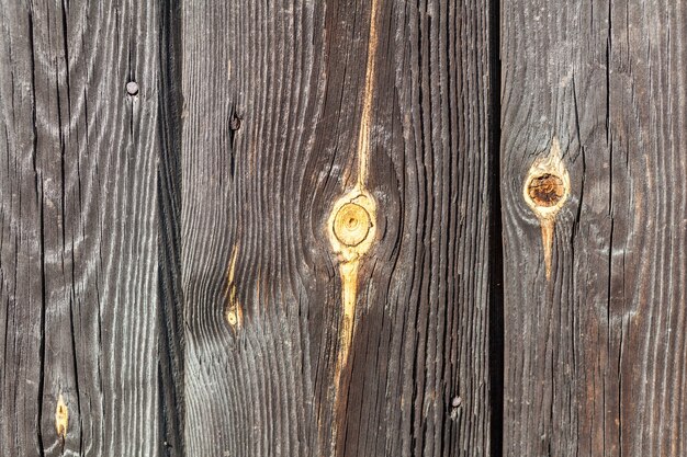 Old brown fence with nails