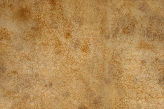 Old brown paper grunge background. Abstract liquid coffee color texture.