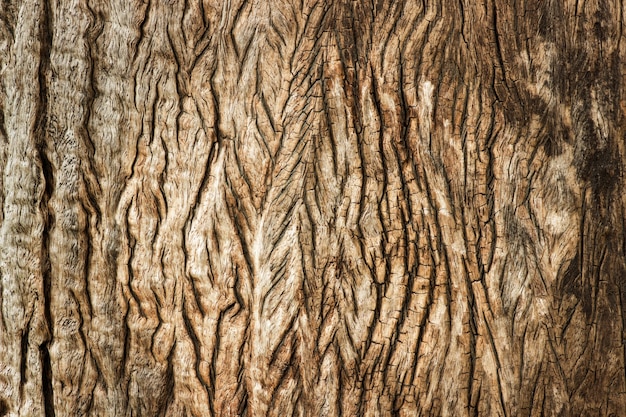 Old brown wooden texture, abstract background.