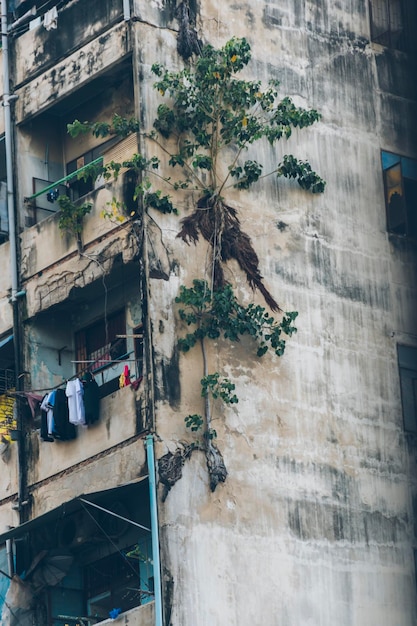 An old building full of dirt and plants.