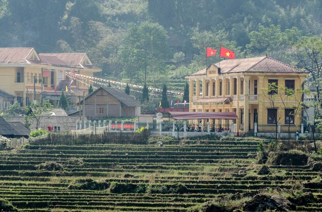 The old building and paddy field