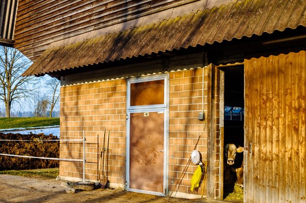 写真 古く建てられた構造物